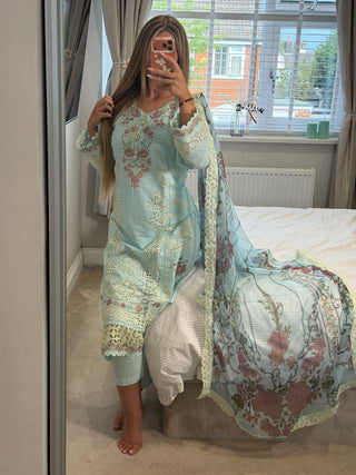 Blue Breeze x