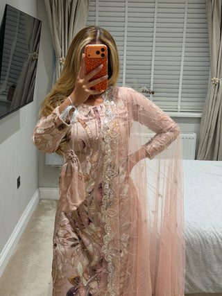 Royalty Blush x