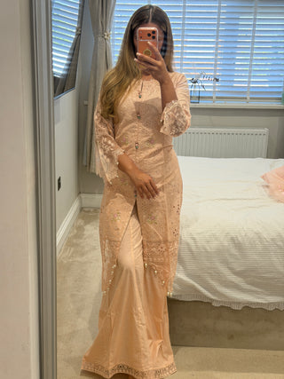 Pink Rose x