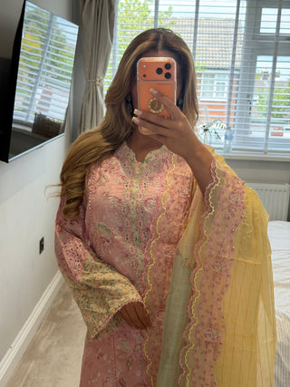 Pastel Dream x