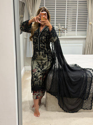 Maria Lace Rose x