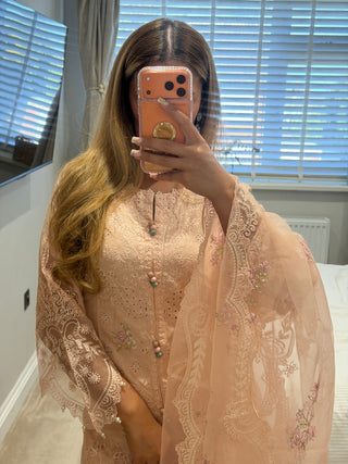 Pink Rose x