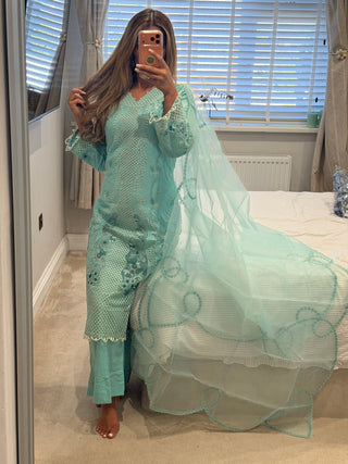 Blue Breeze x
