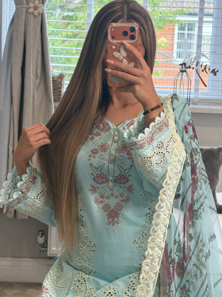 Blue Breeze x