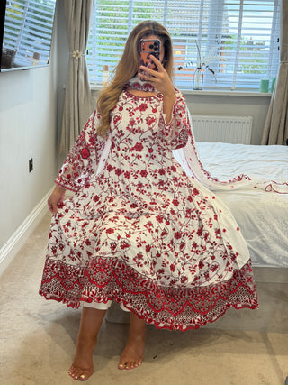 Daisy Dream Red
