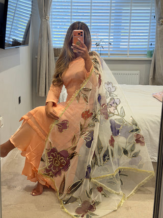 Peach Dream x