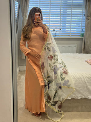 Peach Dream x