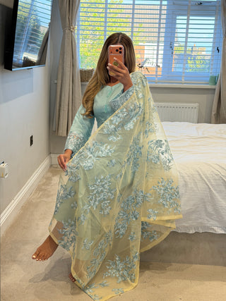 Blossom Blue x