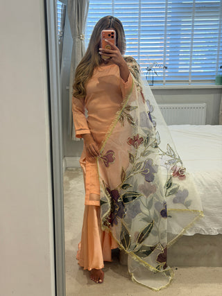 Peach Dream x