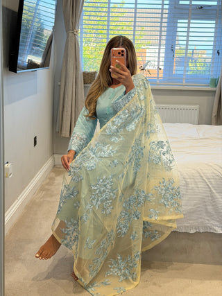 Blossom Blue x