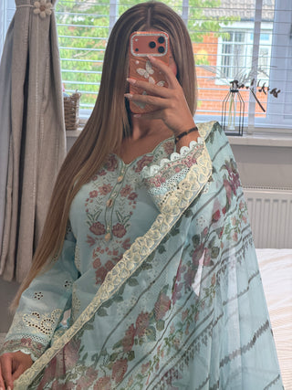 Blue Breeze x
